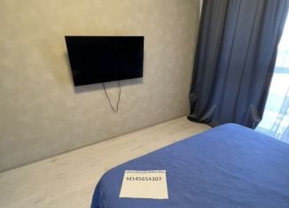 Сдаю 1-ком. квартиру, 43 м2, Краснодарский край, набережная Адмирала Серебрякова, 79Б