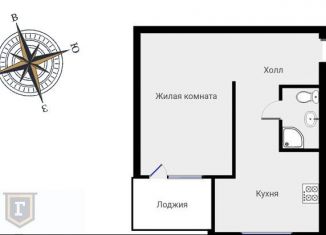 Аренда 1-комнатной квартиры, 36 м2, Москва, Зубовский проезд, 3, Зубовский проезд