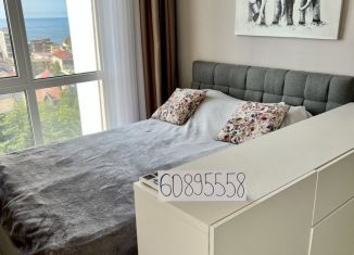 Сдам квартиру студию, 27 м2, Сочи, улица Ленина, 298В/1, ЖК Касабланка
