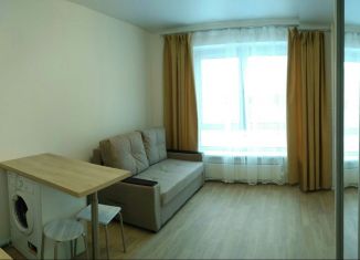 Сдача в аренду квартиры студии, 20 м2, Люберцы, улица Лётчика Ларюшина, 6к2, ЖК Жулебино Парк