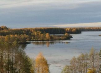 Земельный участок на продажу, 40 сот., деревня Сенюшкино, Сенюшкинская улица, 25