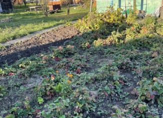 Продается дача, 30 м2, СДТ Дубрава-1