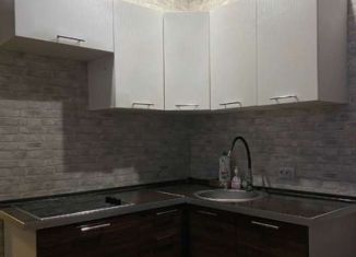 Сдам квартиру студию, 24 м2, Мурино, Воронцовский бульвар, 16к2, ЖК Краски Лета