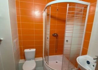 Продаю квартиру студию, 22.3 м2, посёлок Парголово, Толубеевский проезд, 8к2
