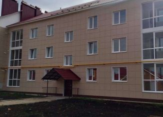 Продажа 1-комнатной квартиры, 35 м2, село Новая Отрадовка, Придорожная улица, 144