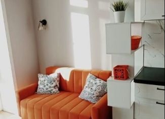 Аренда квартиры студии, 25 м2, Павловск, улица Свободы, 25