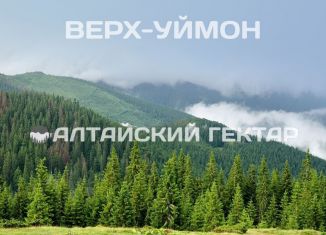 Продажа земельного участка, 100 сот., Республика Алтай, Центральная улица, 3