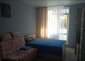 Квартира в аренду студия, 28 м2, Новосибирск, улица Галущака, 15