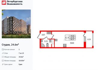 Квартира на продажу студия, 24.6 м2, Санкт-Петербург, Дальневосточный проспект, 19к1, муниципальный округ Невский