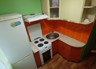 Аренда 2-комнатной квартиры, 50 м2, Красноярск, проспект имени Газеты Красноярский Рабочий, 167