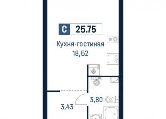 Продаю квартиру студию, 25.8 м2, Ленинградская область