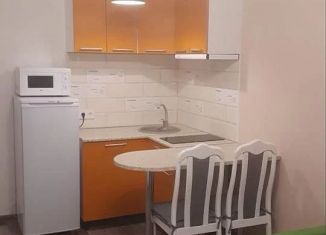 Сдается квартира студия, 24 м2, деревня Глухово, Романовская улица, 7