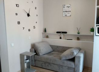 Квартира на продажу студия, 27 м2, поселок городского типа Стройкерамика, улица Веры Ершовой, 8