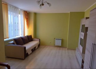 Сдаю 1-ком. квартиру, 51 м2, Воронеж, улица Перевёрткина, 1/7, ЖК Дельфин