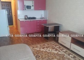 Продам квартиру студию, 25 м2, Красноярск, улица Карамзина, 16