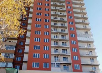 Продам квартиру студию, 41 м2, Новосибирск, улица Добролюбова, 162/1, метро Берёзовая роща