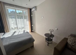 Сдам квартиру студию, 30.3 м2, посёлок городского типа Дагомыс, улица Гайдара, 22к1, ЖК Босфор