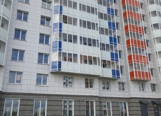 Квартира на продажу студия, 28 м2, городской посёлок Янино-1, Заводская улица