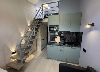 Сдача в аренду 2-ком. квартиры, 30 м2, Сочи, Фермерский переулок, 24/1, микрорайон Энергетик-Изумруд