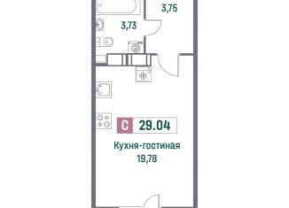 Продам квартиру студию, 29 м2, Ленинградская область, Ручьёвский проспект, 1/24