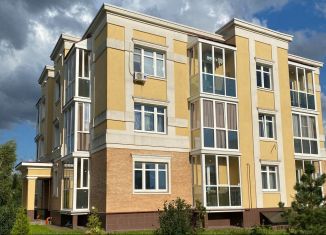 Продажа квартиры студии, 17.3 м2, деревня Ивановское, улица Николинские Ключи, 34