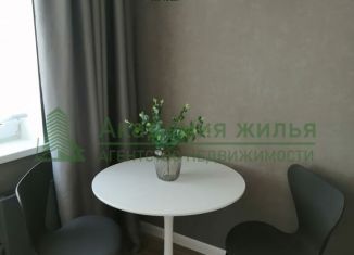 Однокомнатная квартира на продажу, 34 м2, Саратов, улица имени Ф.А. Блинова, 4