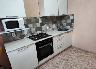 Сдам 1-ком. квартиру, 30 м2, село Лопатино, Николаевский проспект, 54