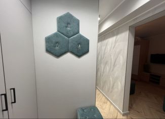 Аренда квартиры студии, 37 м2, Сочи, улица Молокова, 3, микрорайон Черемушки