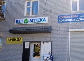 Сдаю помещение свободного назначения, 150 м2, рабочий посёлок Елань, Советская улица, 59