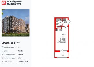 Продаю квартиру студию, 23.6 м2, Санкт-Петербург, Дальневосточный проспект, 23, муниципальный округ Невский