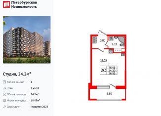 Продажа квартиры студии, 24.2 м2, Санкт-Петербург, Дальневосточный проспект, 23, муниципальный округ Невский