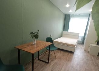 Сдаю в аренду квартиру студию, 18 м2, Иркутск, Пограничный переулок, 1Б