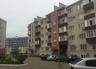 Сдается 1-ком. квартира, 42 м2, Михайловск, улица Ленина, 203/2