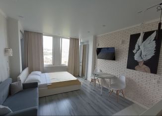 Сдаю в аренду квартиру студию, 28 м2, Сочи, улица Лысая Гора, 27/16, микрорайон Светлана