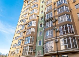 Продается 1-комнатная квартира, 33.3 м2, село Раздольное, Тепличная улица, 16/6