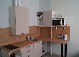 Сдам квартиру студию, 26 м2, Сочи, Клубничная улица, 15Б