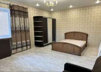 Сдам в аренду 1-ком. квартиру, 50 м2, Щербинка, Партизанская улица, 11