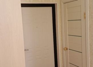 Сдается в аренду однокомнатная квартира, 26 м2, Сочи, Хлебозаводской переулок, 14, микрорайон Новый Сочи