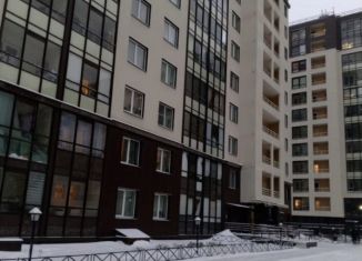 Продаю квартиру студию, 24 м2, Санкт-Петербург, проспект Ветеранов, 169к3