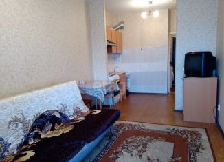 Продаю квартиру студию, 24.1 м2, Санкт-Петербург, Варшавская улица, 19к1, Московский район