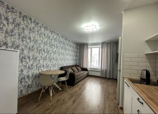 Сдается в аренду 2-комнатная квартира, 36 м2, Абакан, улица Генерала Тихонова, 8