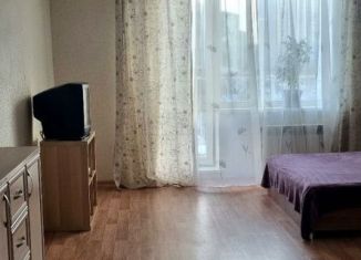 Аренда квартиры студии, 40 м2, Новосибирск, улица Николая Сотникова, 3