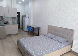 Сдаю в аренду квартиру студию, 27 м2, Геленджик, Крымская улица, 22к12