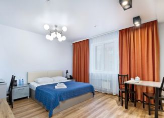 Квартира в аренду студия, 34 м2, Новосибирск, улица Некрасова, 65/1