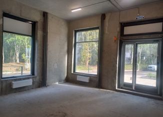 Продам помещение свободного назначения, 47 м2, Кудрово, Центральная улица, 30к1