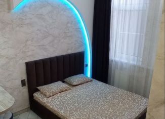 Сдам в аренду квартиру студию, 18 м2, Краснодар, улица Генерала Шифрина, 1