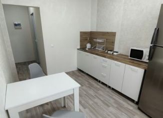 Сдается 1-ком. квартира, 35 м2, Краснодарский край, проспект Дзержинского, 247