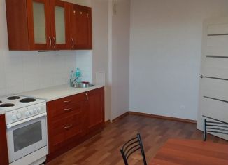 Аренда 1-ком. квартиры, 40 м2, посёлок Парголово, улица Фёдора Абрамова, 8