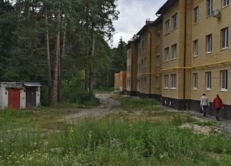 Сдам 1-ком. квартиру, 37.3 м2, Сельцо, проезд Горького, 15