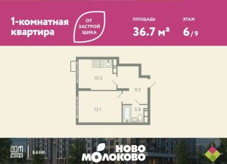 Продажа 1-комнатной квартиры, 36.7 м2, село Молоково, жилой комплекс Ново-Молоково, 13